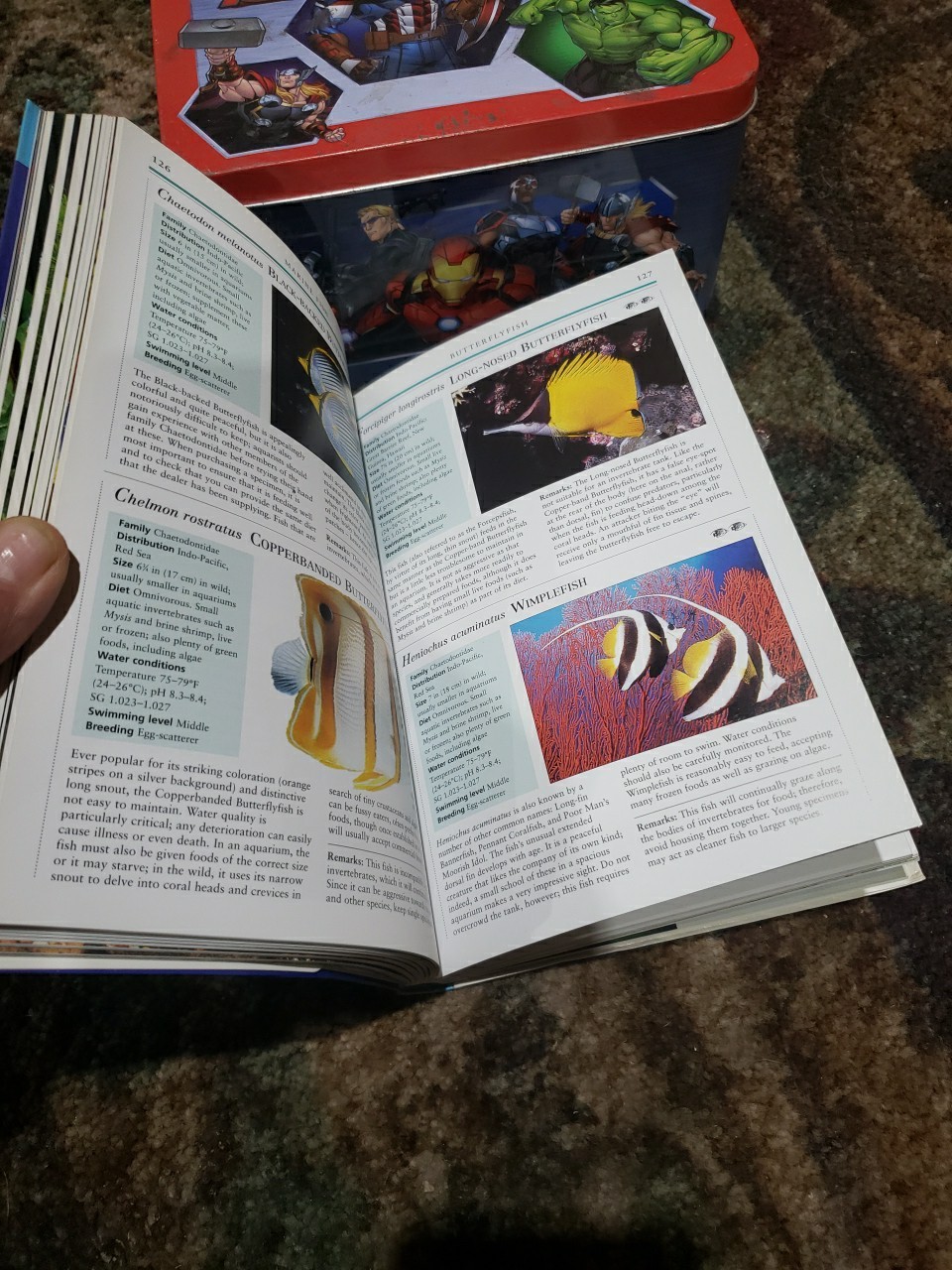 Aquarium Owner’s Manual by Gina Sanford (2003, Trade Paperback)