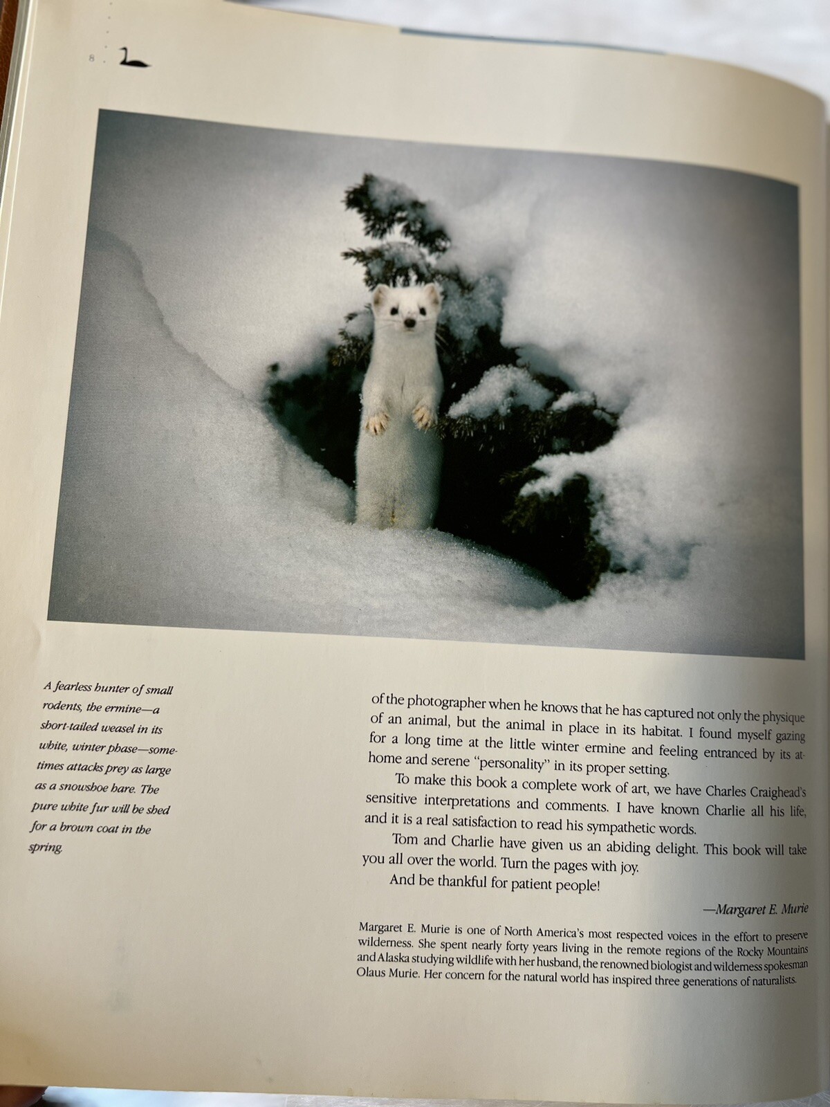 Rare -Special Edition 390/1000: Images of Nature – Signed by Thomas D. Mangelsen