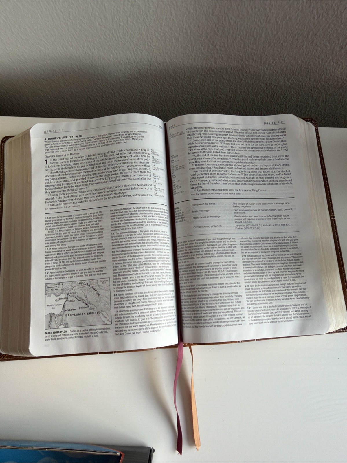 Life Application Study Bible NIV Large Print 2011 Italian Duo Tone Leather