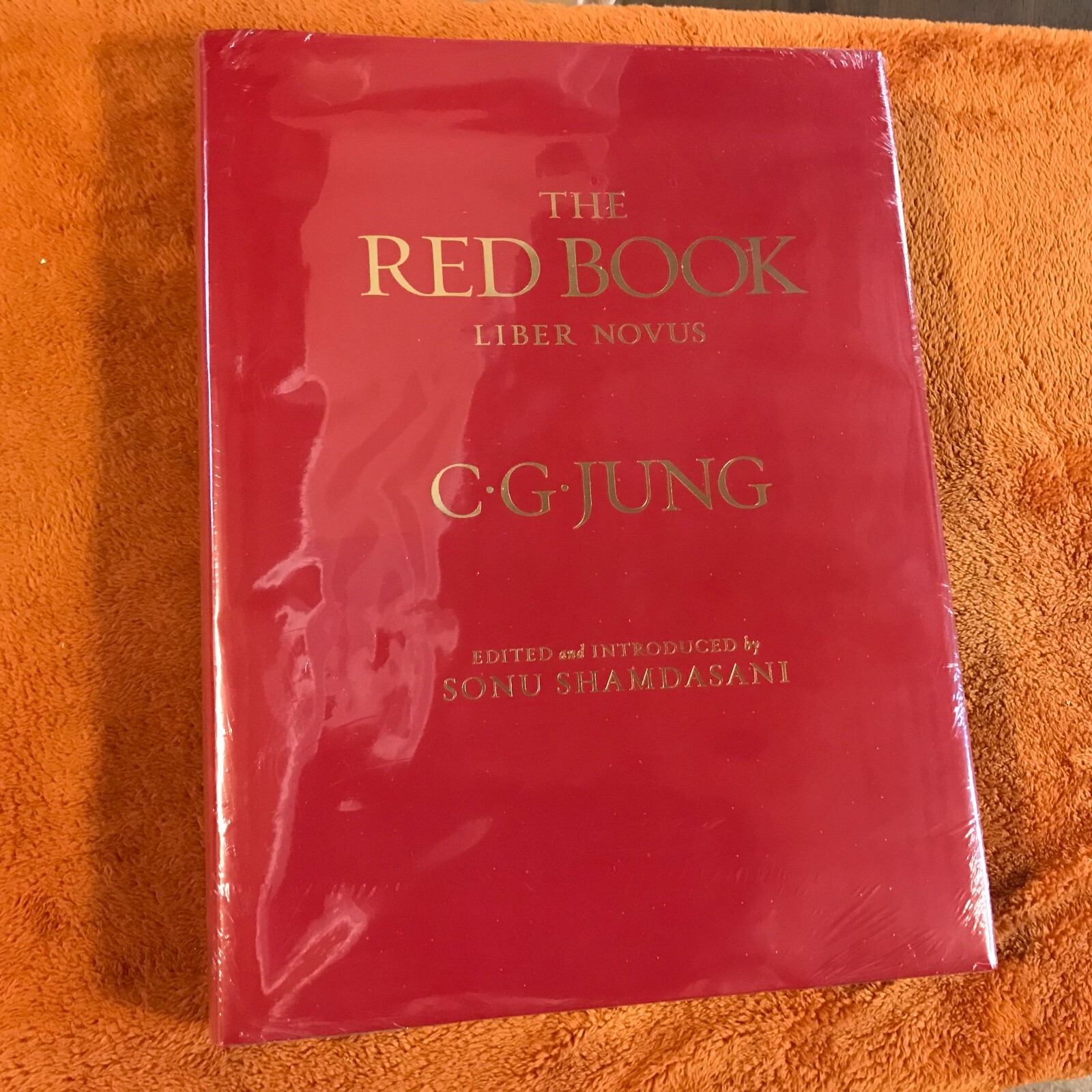 C.G. Carl Jung hardcover THE RED BOOK liber novus SEALED philemon ’09 illus eng!
