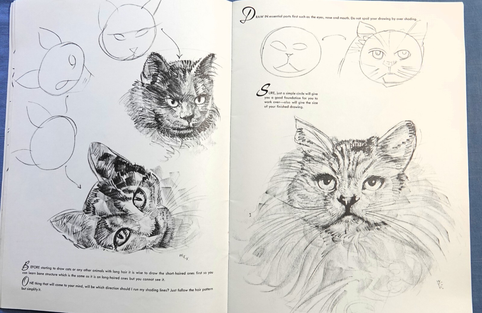 6 BOOKS: HOW TO DRAW AND PAINT BY WALTER FOSTER LARGE FORMAT 14″ X 10.5″ SC