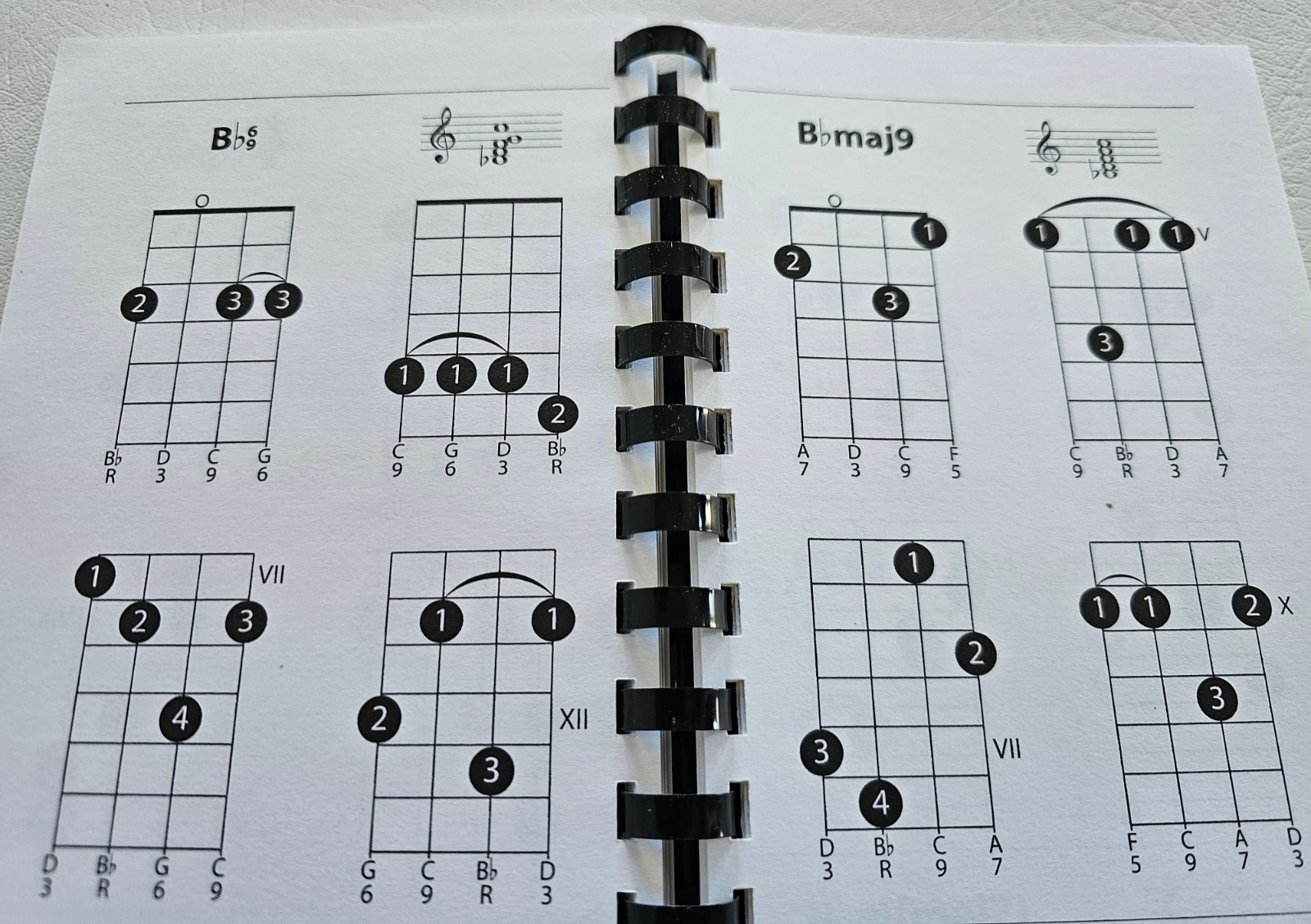 2004 MANDOLIN CHORDS Gig Bag Series 1100+ CHORD DIAGRAMS Music BLUEGRASS Amsco