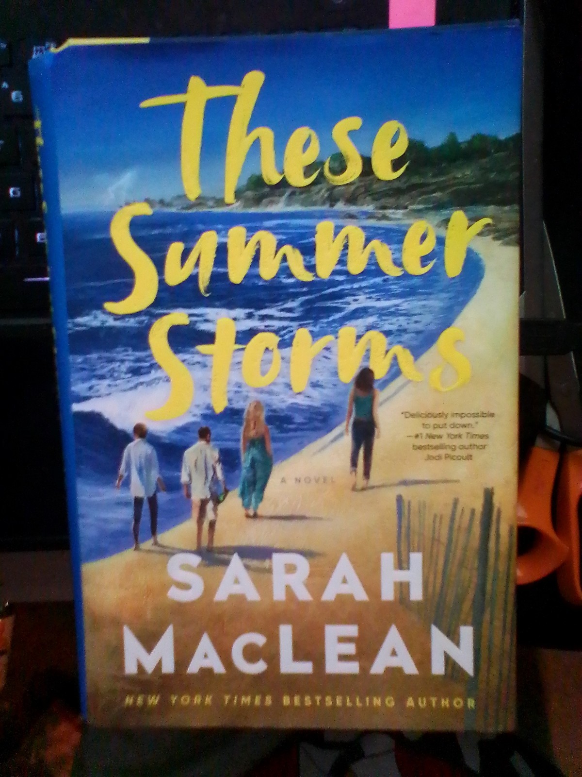 These Summer Storms Sara Maclean Hardcover Book LIKE NEW – FIRST EDITION –