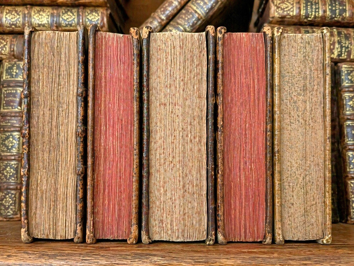 ANTIQUE BOOK IN LATIN from 1700s – Historical Collectible Text from 18th Century