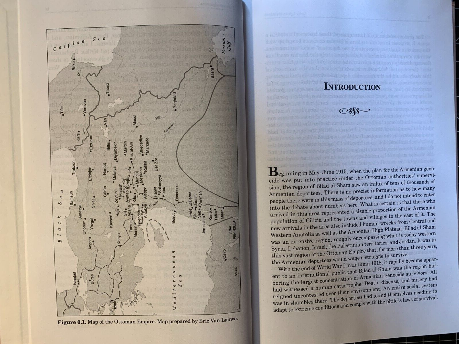 Daily Life in the Abyss: Genocide Diaries, 1915–1918 by Vahé Tachjian