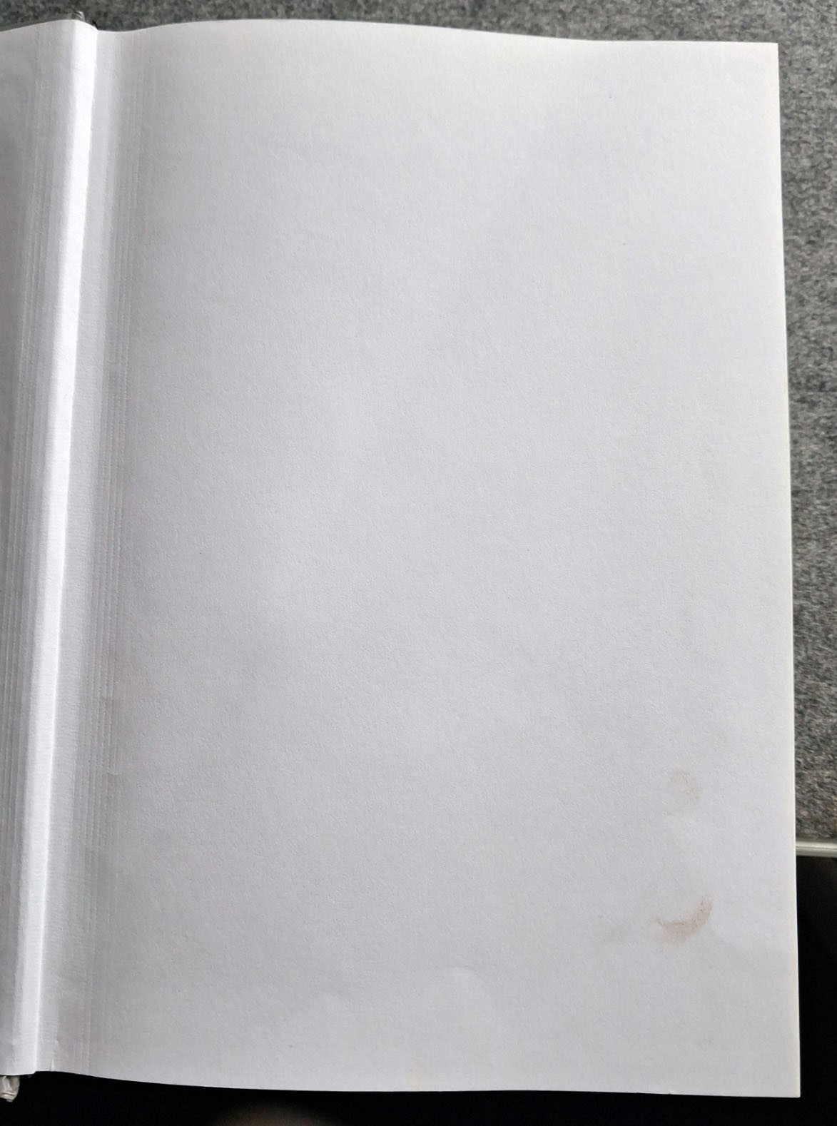 1200 Pilze in Farbfotos von Rose Marie Dähncke (2009, Gebundene Ausgabe)