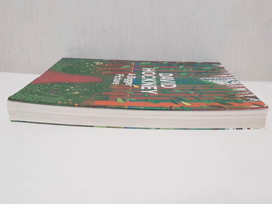 David Hockney A Bigger Picture Art Book English 301 Pages Used