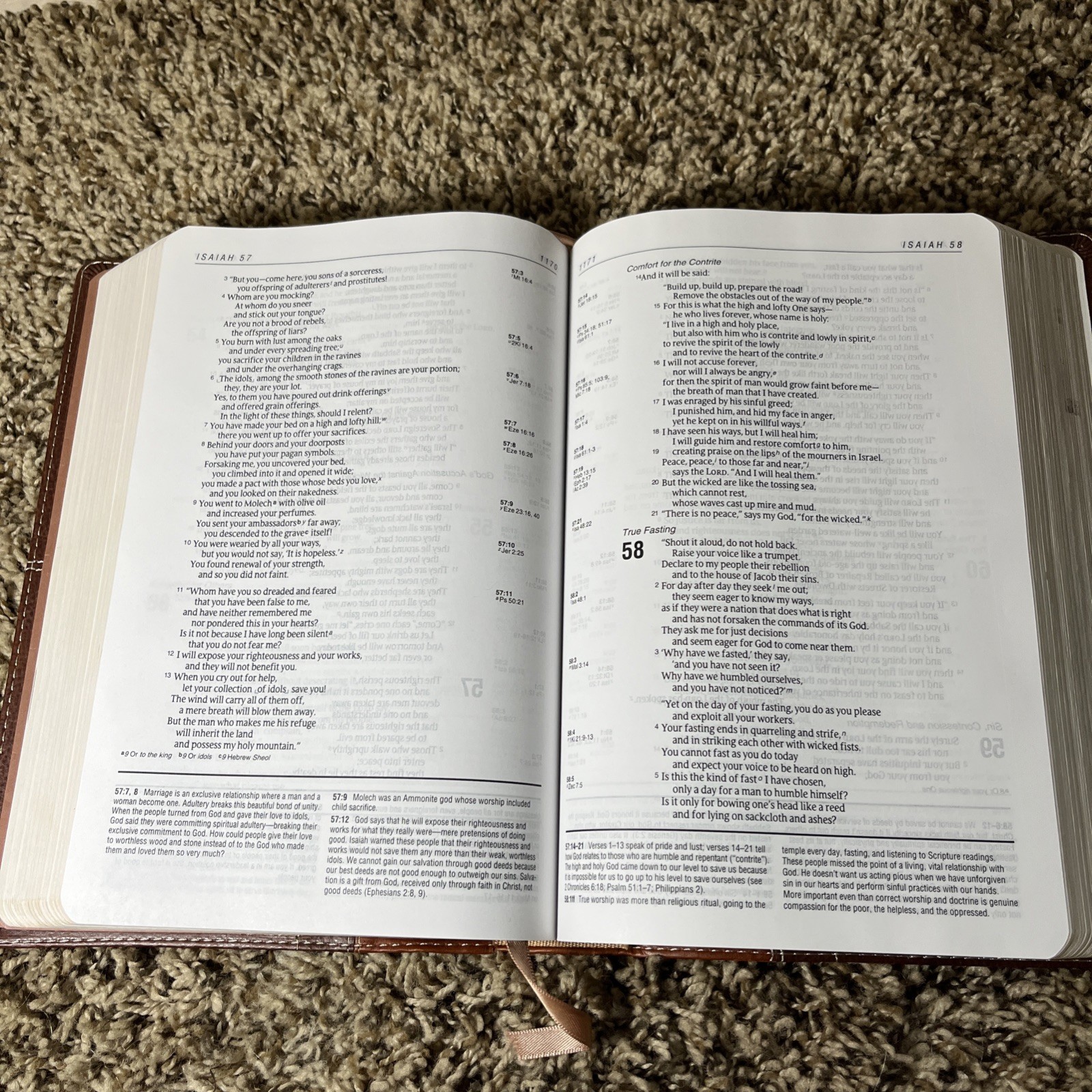 Life Application Study Bible NIV Large Print 2011 Italian Duo Tone Leather