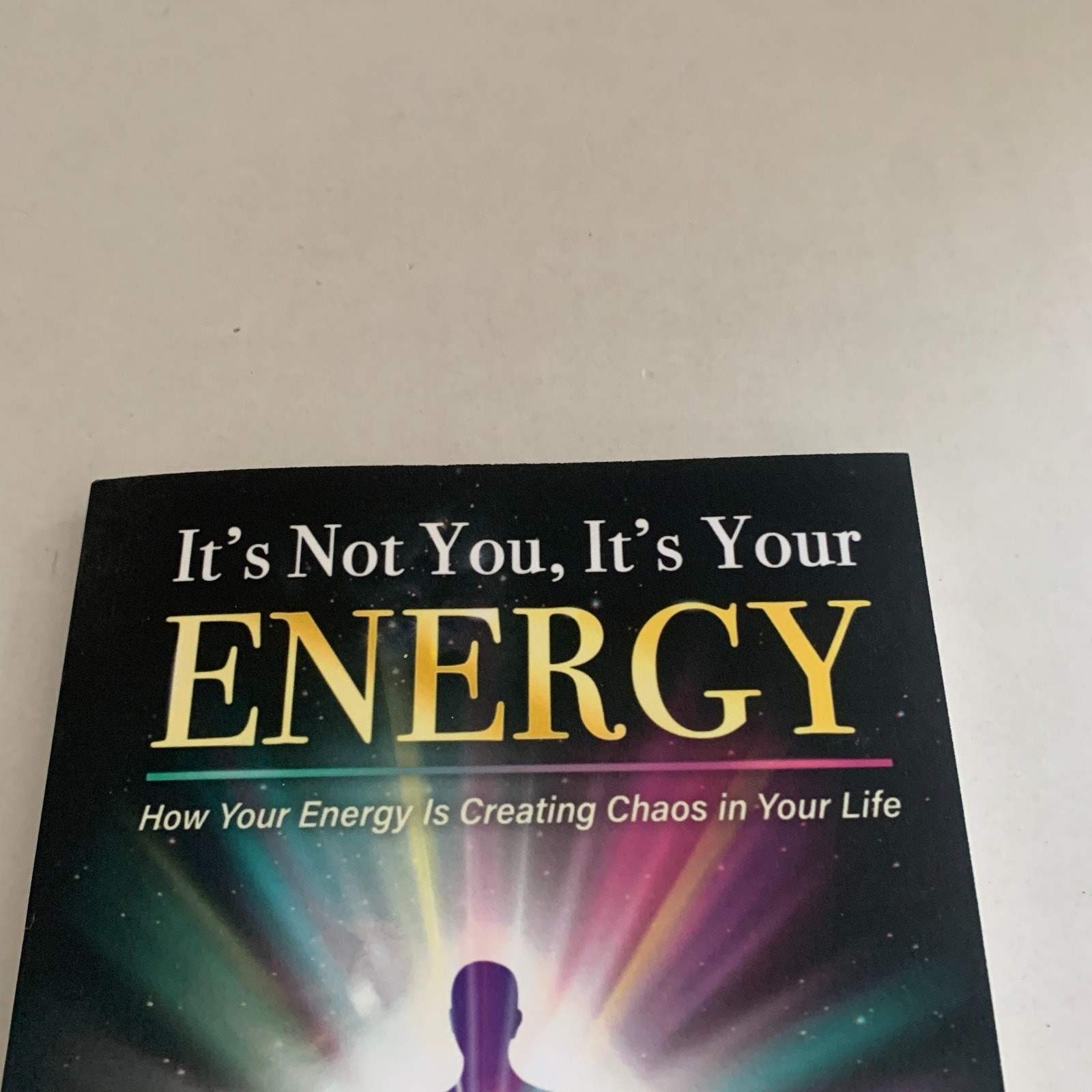 It’s Not You, It’s Your Energy Danielle Ingenito Paperback Book NEW