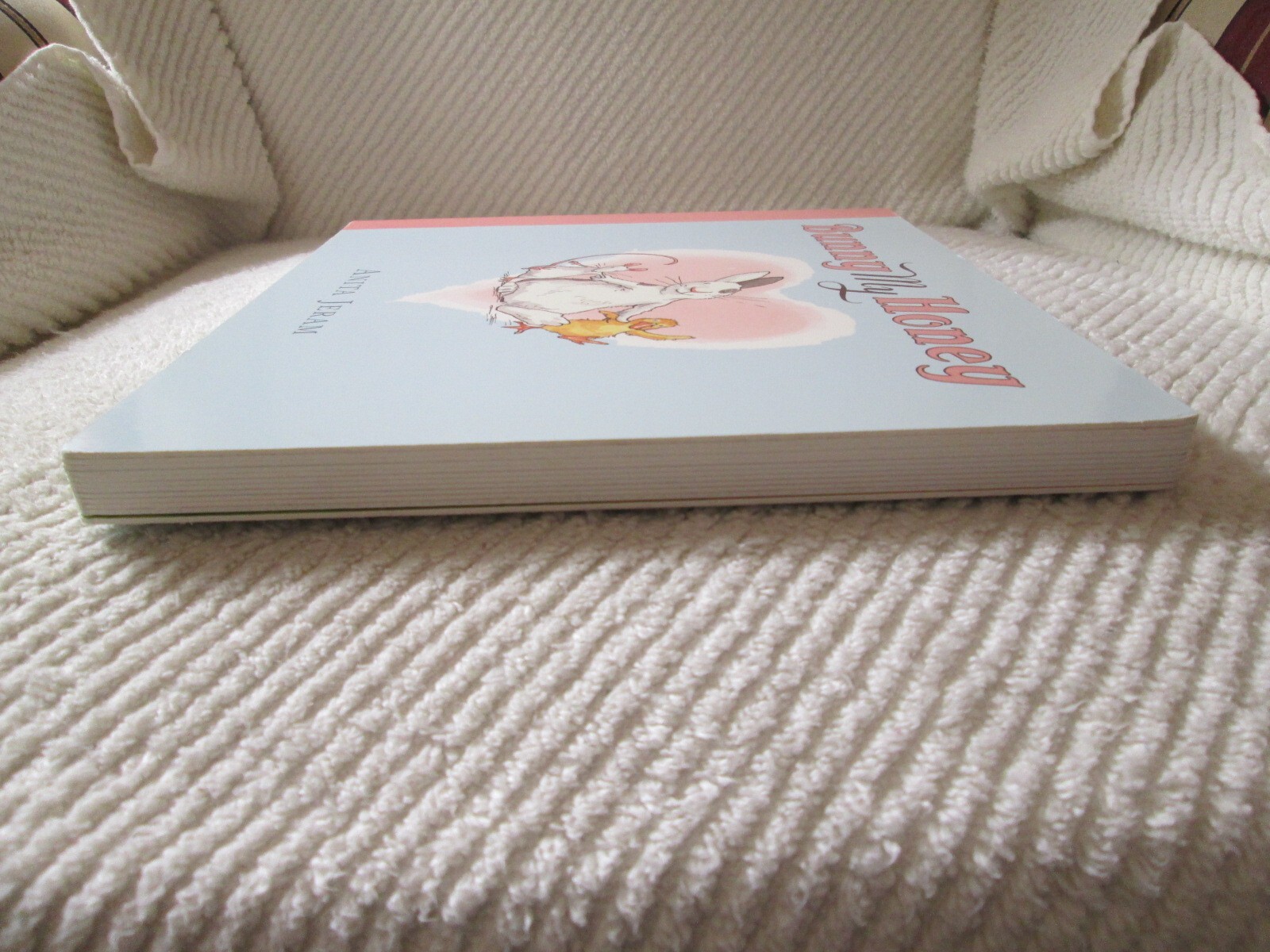 Bunny My Honey by Anita Jeram Big Board Book (9.25 x 10.5 inches)