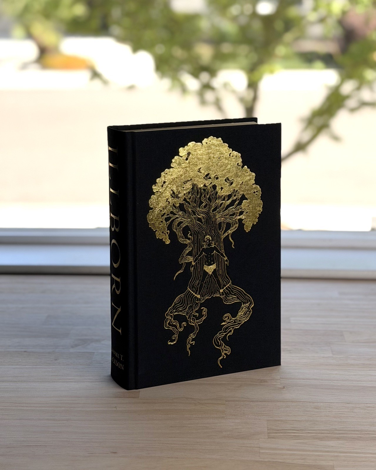 The Broken Binding Illborn by Daniel Jackson Press Edition Signed and Numbered