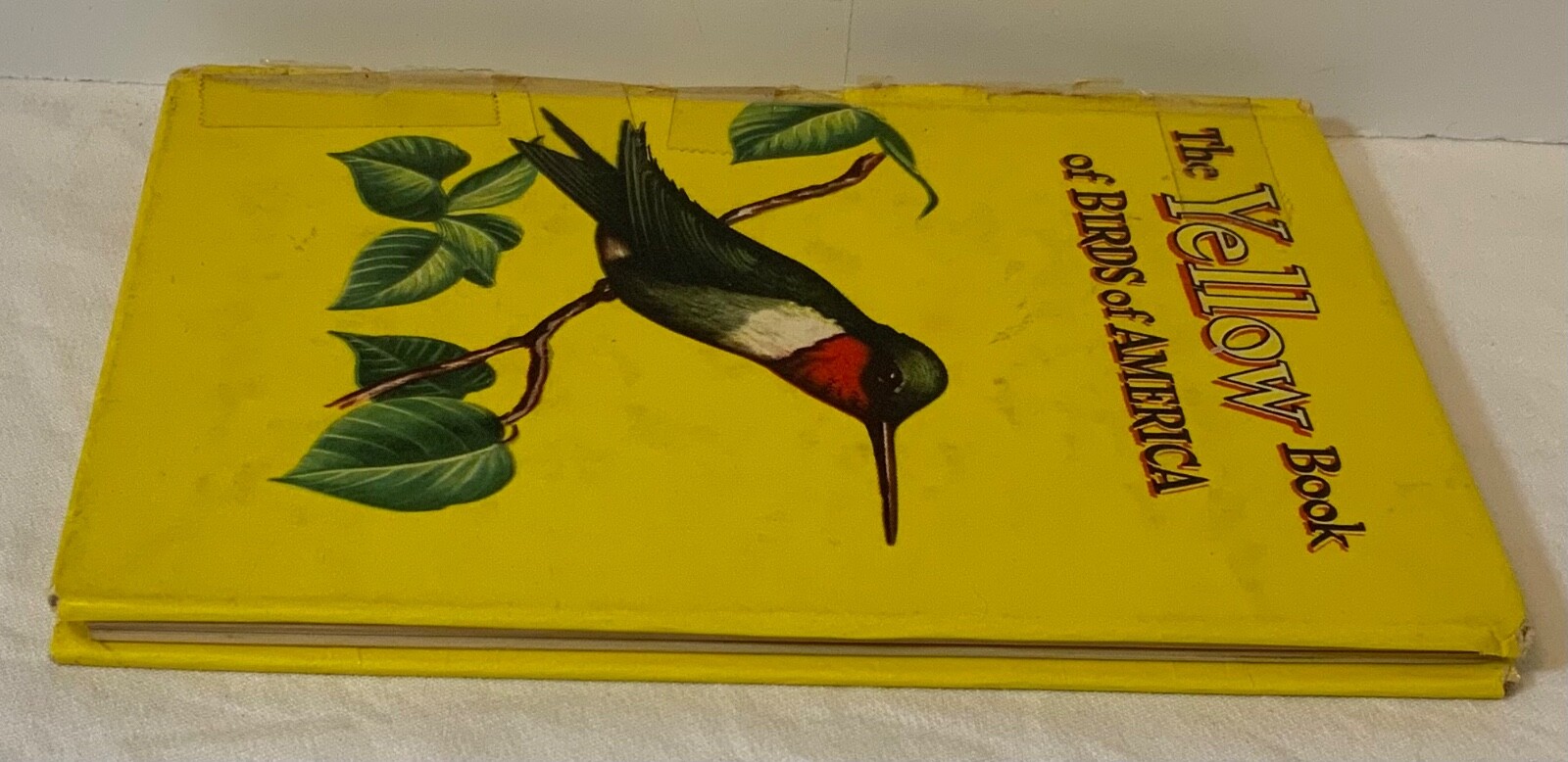 VTG 1954 The Yellow Book of Birds Of America Whitman Publishing 2978:25 HTF