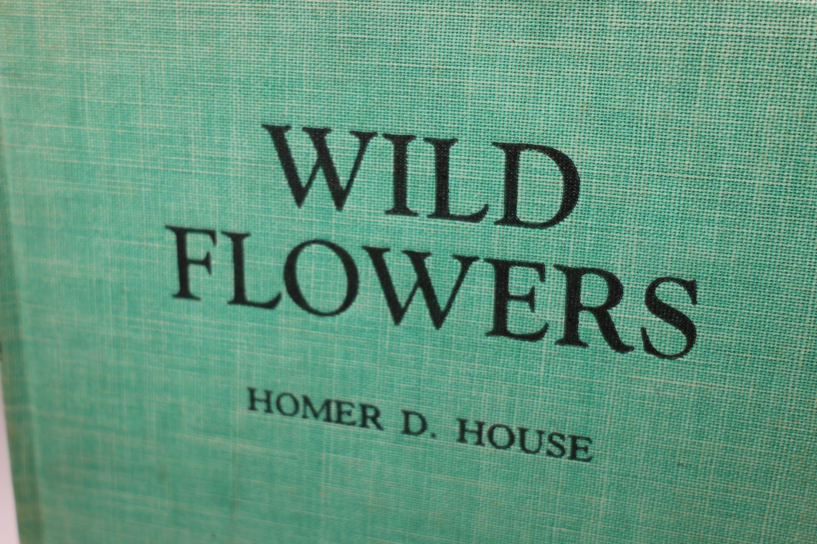 Wild Flowers by Homer D. House 1935 Macmillan Company Elzie S. Wechsler Columbia