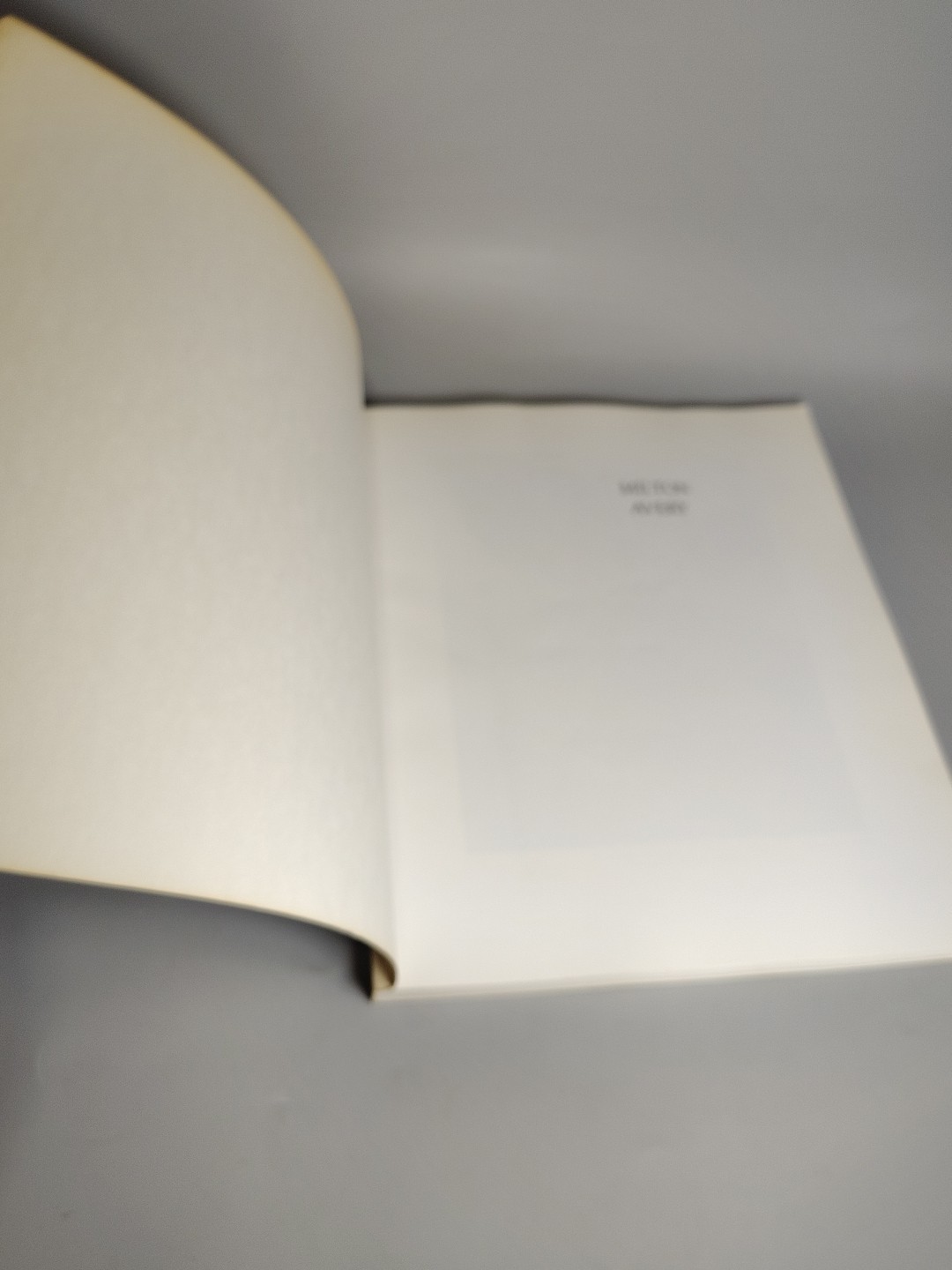 Vtg MILTON AVERY By Barbara Haskell Paperback Whitney Museum American Art 1st Ed