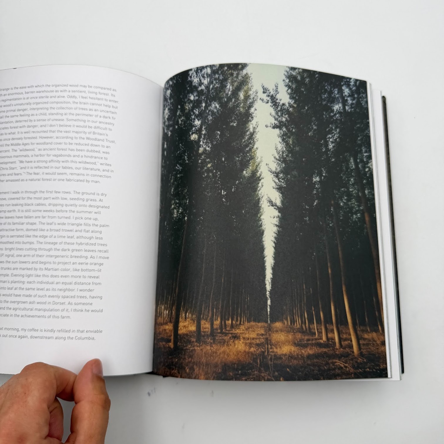 Forest by Matt Collins (2020, Hardcover) Tree Photography Book, Nature and World