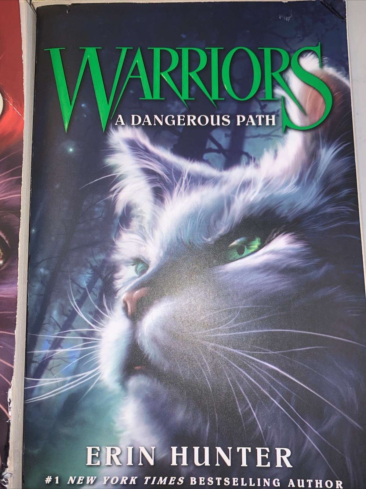 Warriors By Erin Hunter #2,3,4,5 Lot Of Paperback Books 1 W Damage See Pics