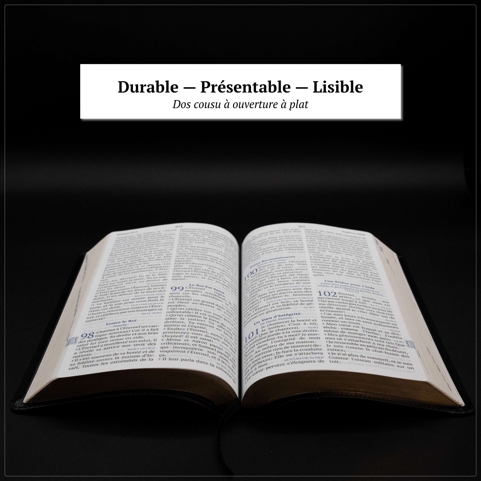 Louis Segond French Bible Large Print – LSG Sainte Bible Noir en Français by SP