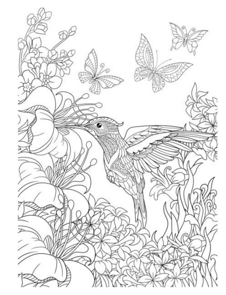 Color the Butterflies Coloring book 108 Pages 8.5 x 11 for All Ages