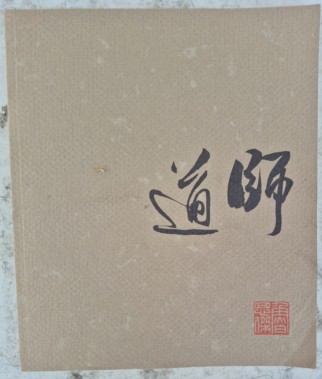 In The Way Of The Master – Kwan S Wong Celeste Adams – Museum Fine Arts Houston