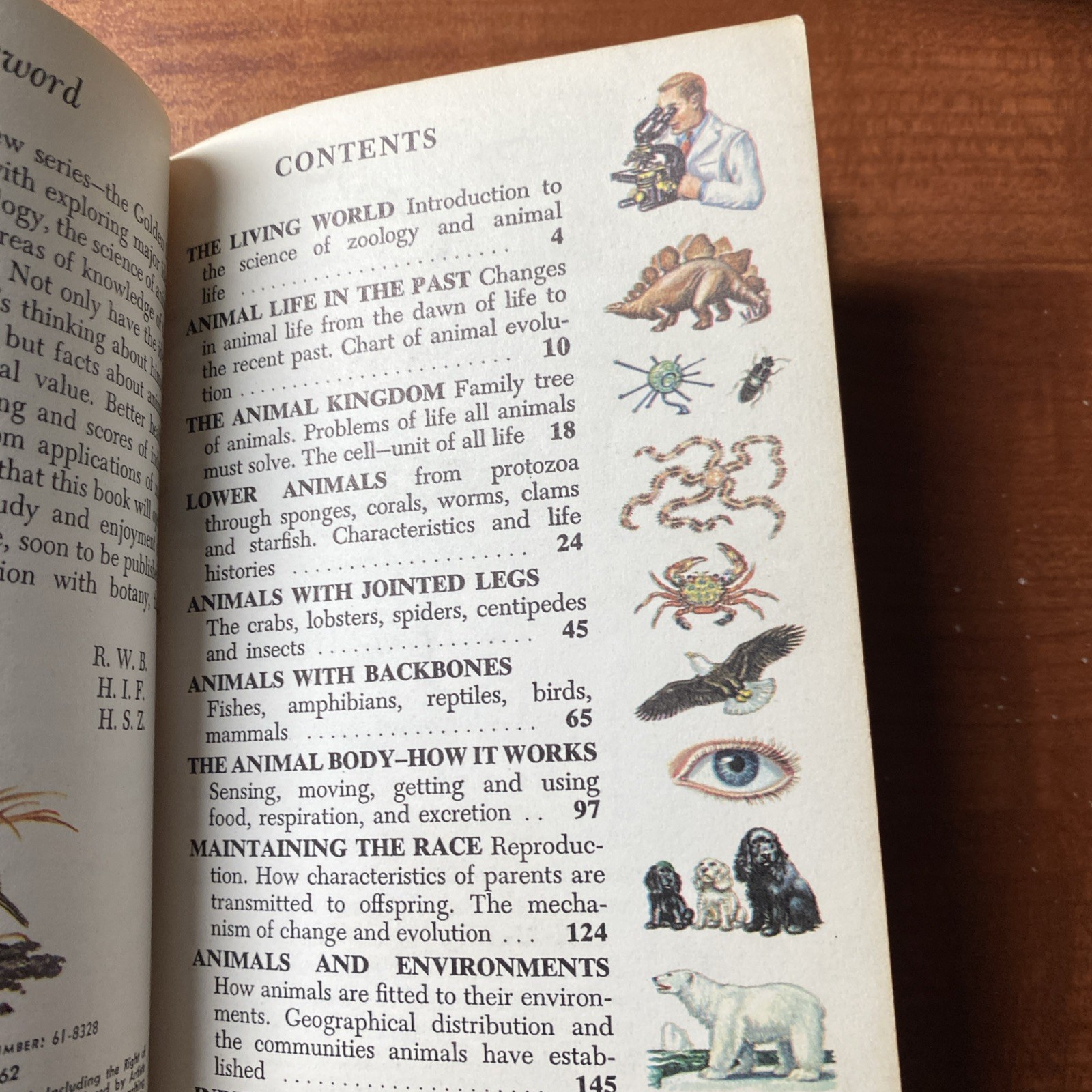 Lot Of 6 Vintage Golden Nature Guides-Small Booklets-Insets pest stars rock ETC