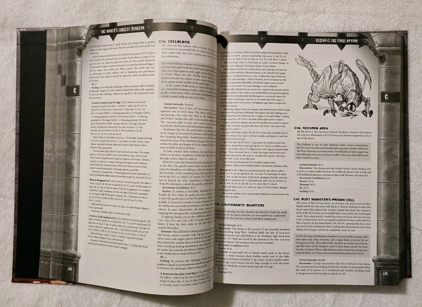 The World’s Largest Dungeon NO MAP 840 Pages NO MAP Jim Pinto Dungeons & Dragons