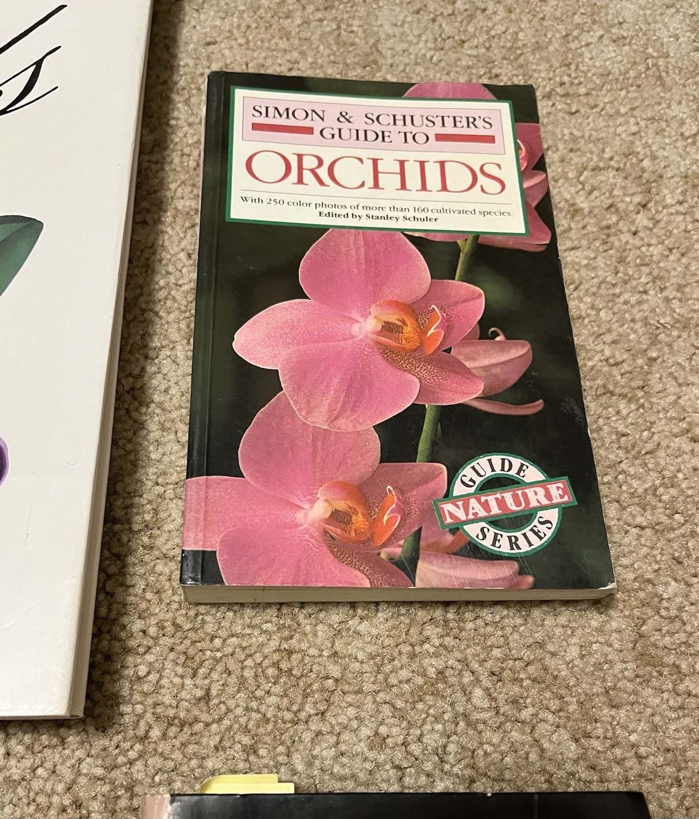 All About Growing ORCHID Flowers Garden Expert Guide Book Illustrated Lot x6 VG