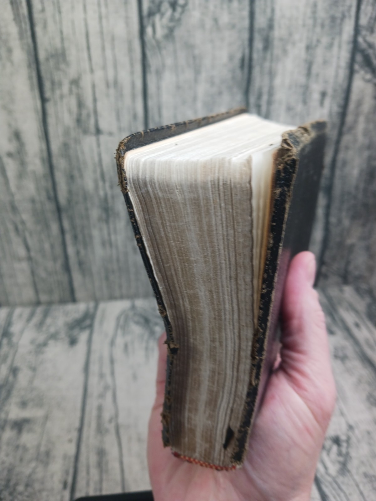 Holy Bible: Authorized King James Version (Zondervan, Concordance, Red) Pre-Own