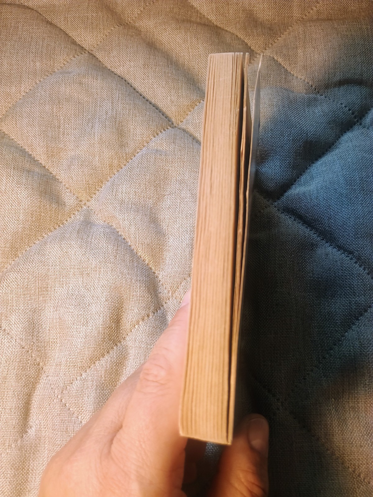 Jim Carroll The Basketball Diaries 1980 Bantam Paperback Edition First Print
