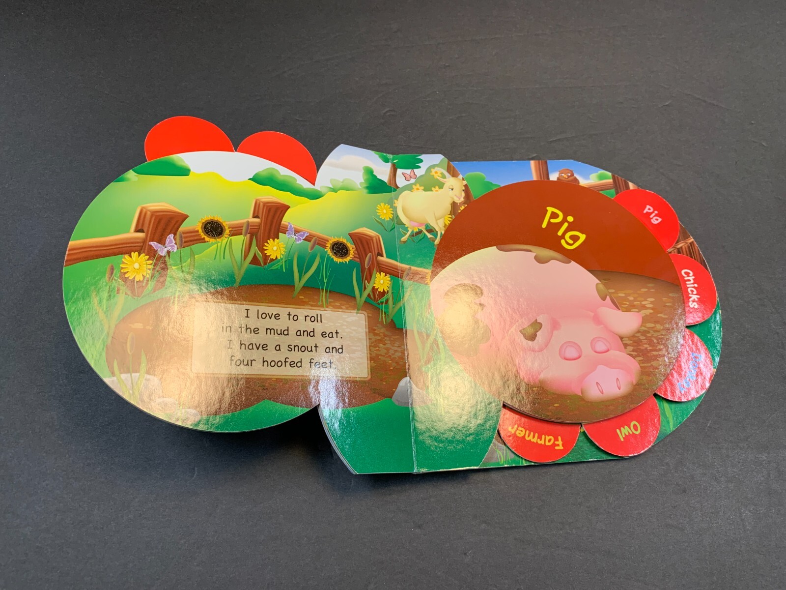 Name Me! Farm by Colleen Fitzgerald Circle Tab Books Board Book