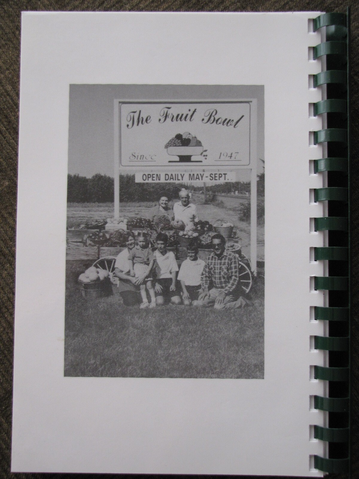 FAVORITE RECIPES Variety Pack by Ina Lucchetti 244+ pages from „THE FRUIT BOWL“