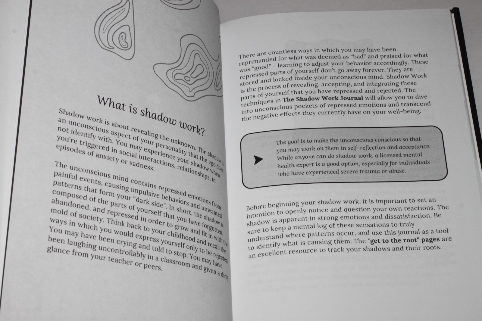 The Shadow Work Journal (Hardcover 2023)