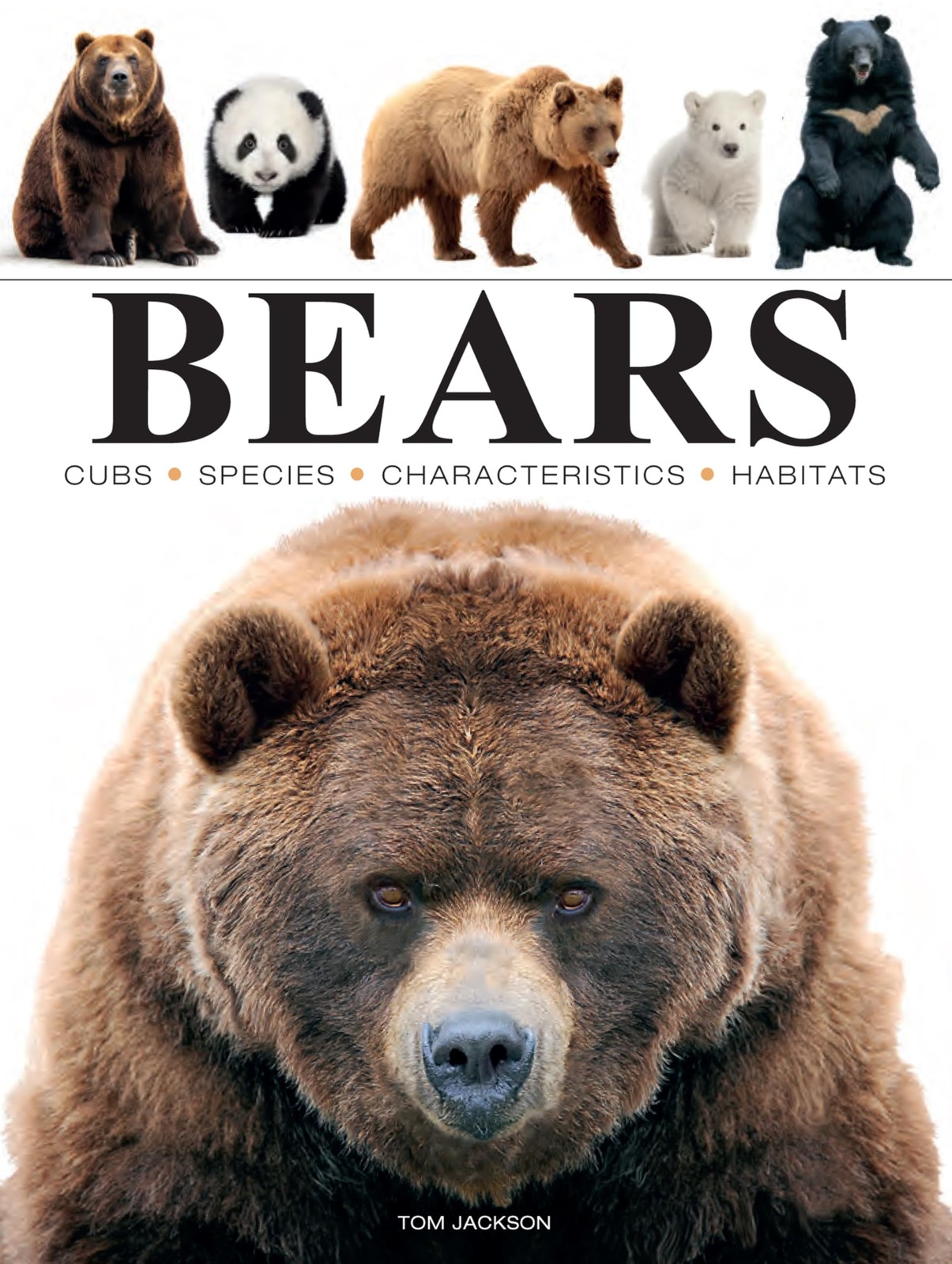 Bears (Mini Encyclopedias)