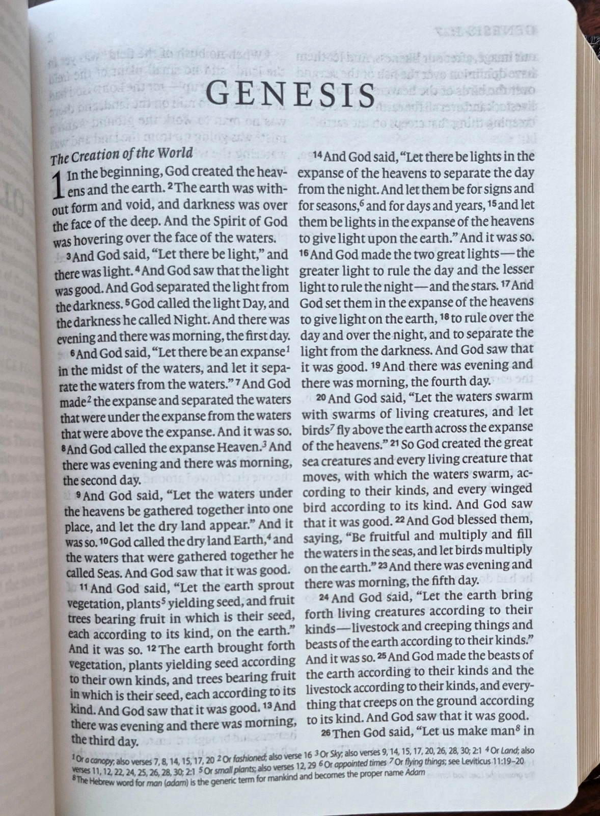 ESV Large Print Compact Bible, Red Letter (Buffalo Leather, Deep Brown) NEW
