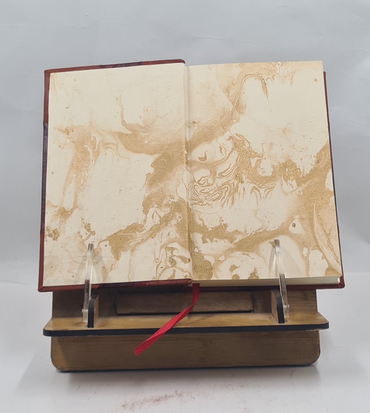 The Negro a menace to American civilization 1907 R. W. Shufeldt [LEATHER BOUND]