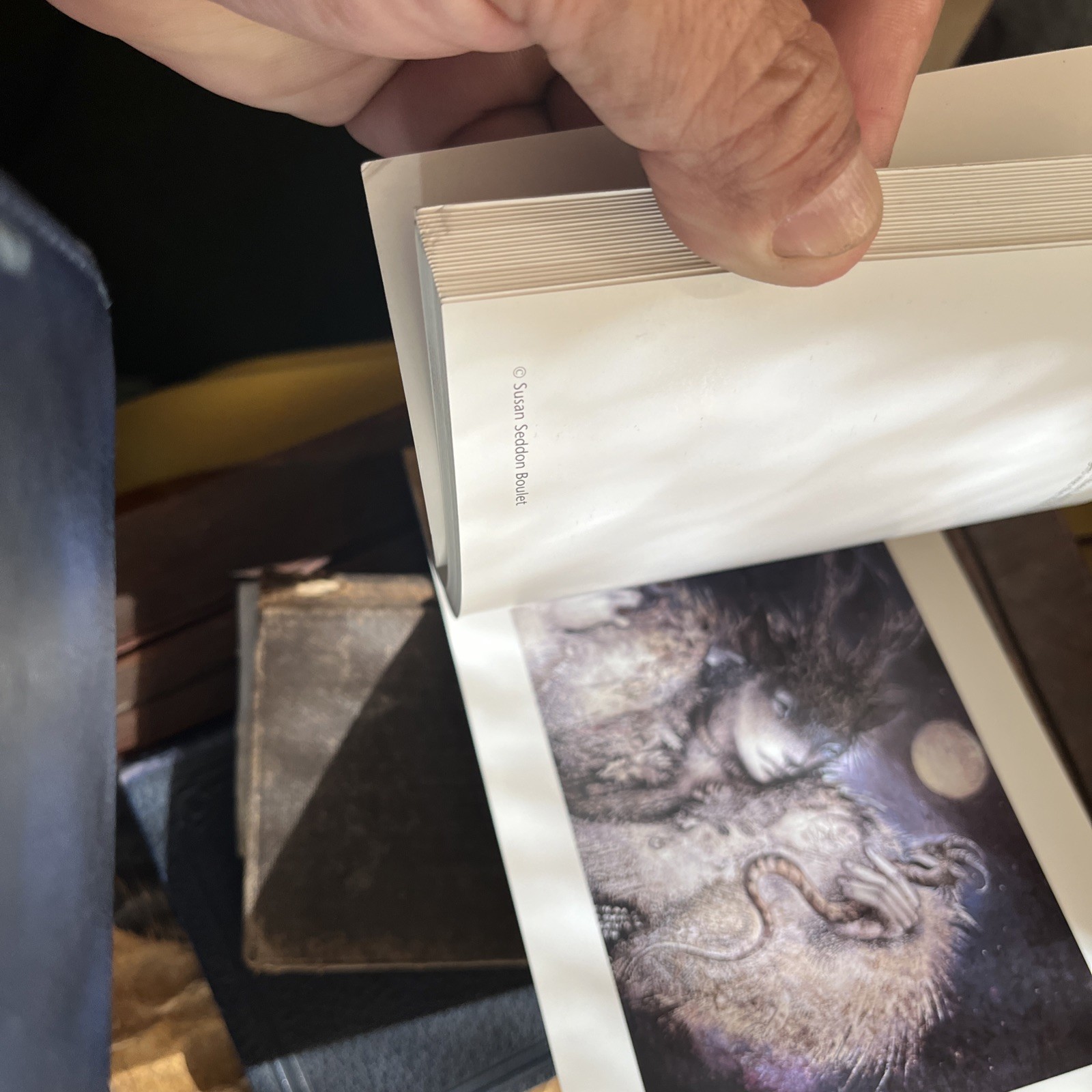 A SUSAN SEDDON BOULET BESTIARY: A BOOK OF POSTCARDS