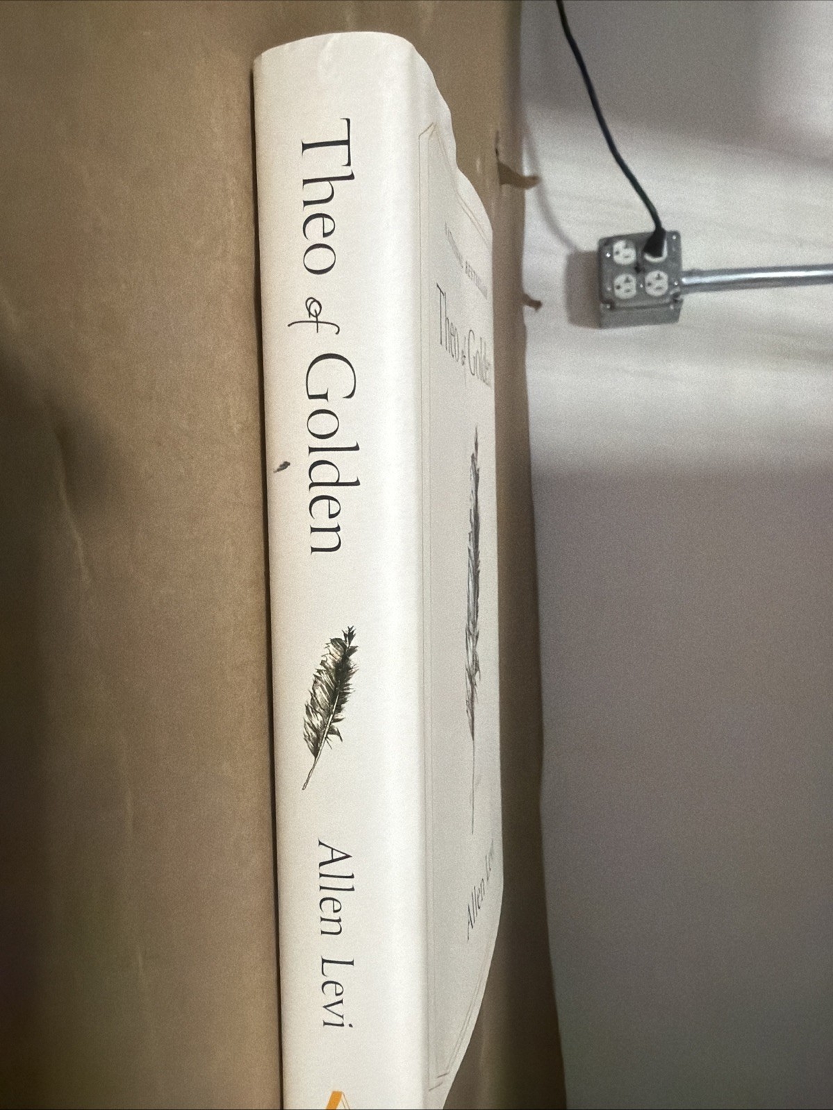 Theo of Golden : A Novel by Allen Levi (Hardcover) SEE DESCRIPTION