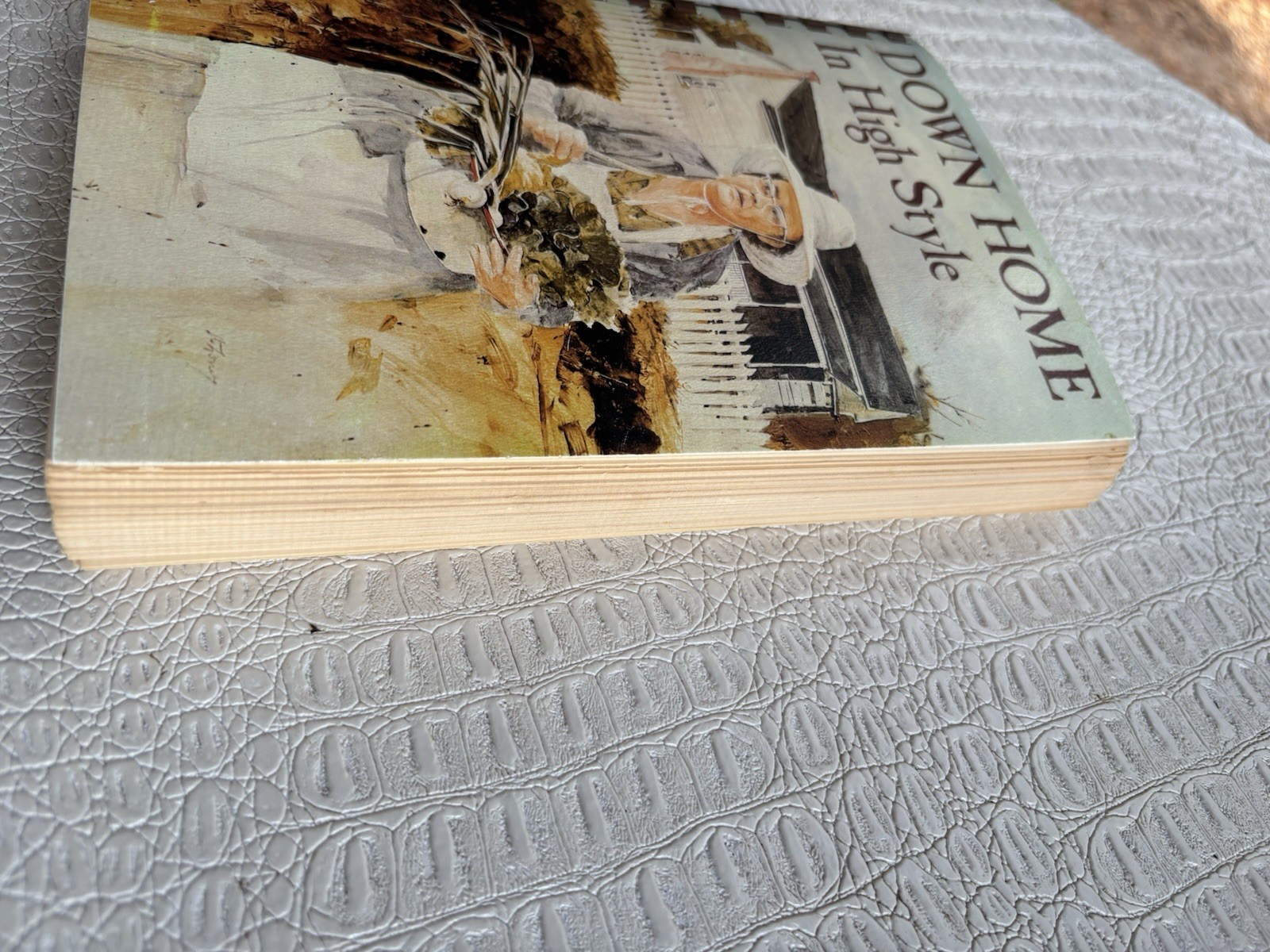 VTG Cookbook DOWN HOME IN HIGH STYLE 3rd Printing 1983 Dothan Alabama 396 Pages