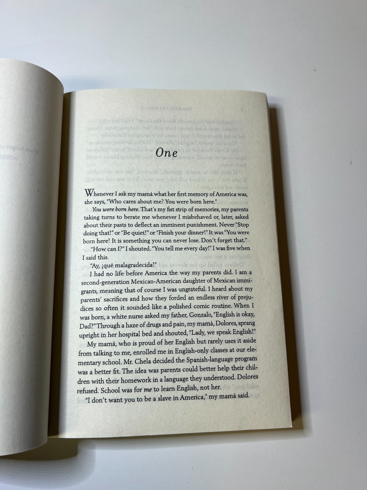 My Name Is Iris Brando Skyhorse ARC Paperback