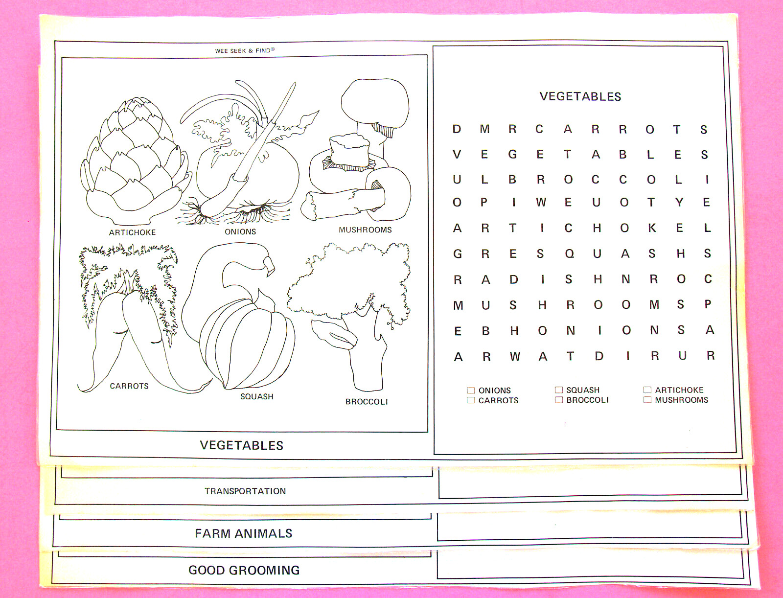 WORD SEARCH KIDS—24 WIPE-OFF LARGE—17 x 11 IN.—ANIMALS, FOOD, TOYS—LAMINATED
