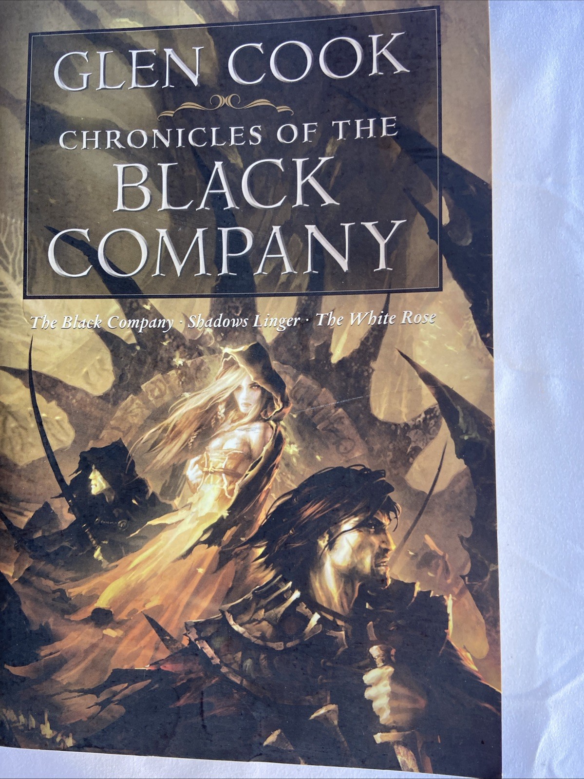 Chronicles of The Black Company Series By Glen Cook 3 Book Lot Trade Paperbacks