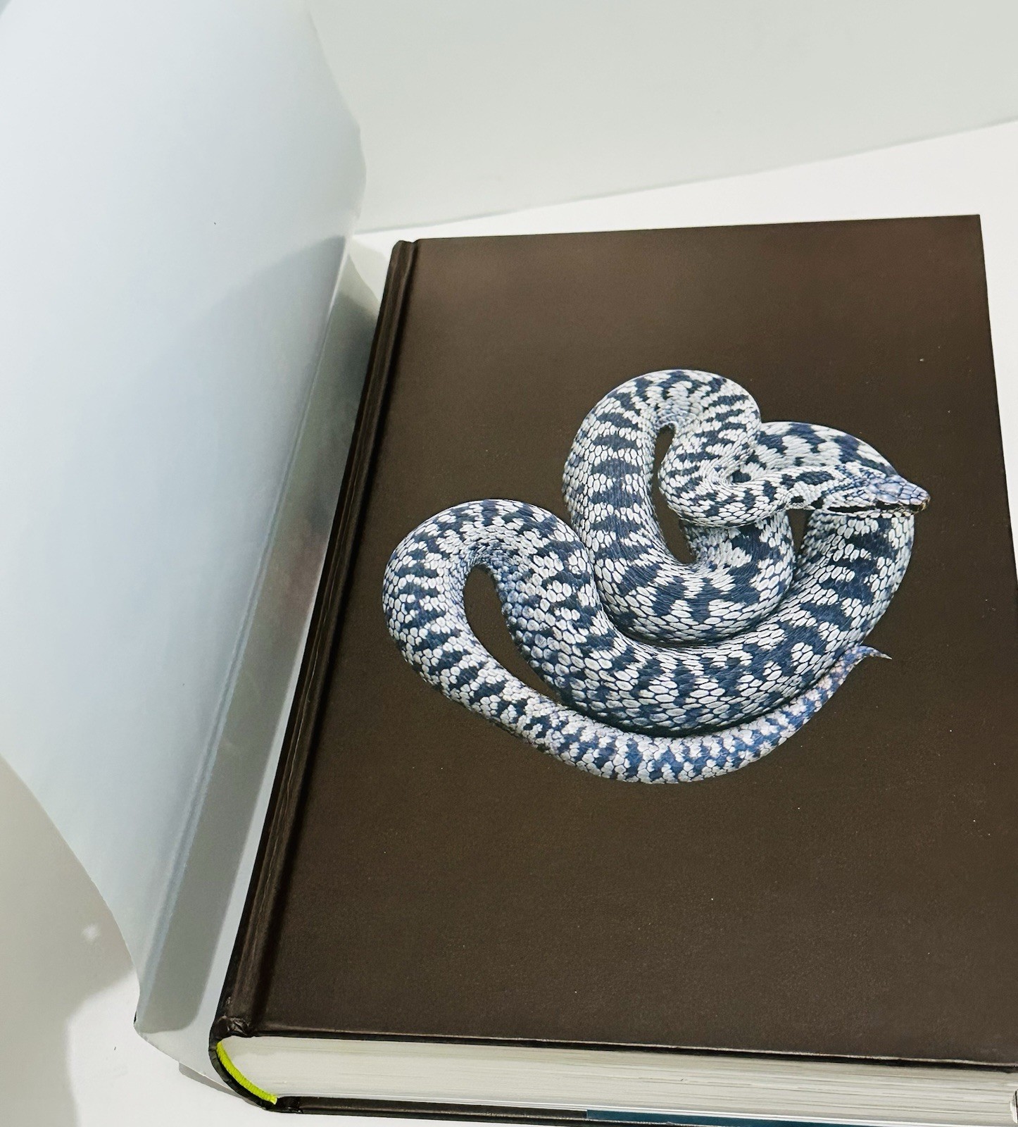Book of Snakes: A Life-Size Guide to Six Hundred Species From Around the World
