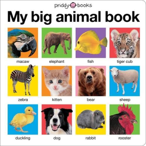 My Big Animal Book (My Big Board Books) – Board book – VERY GOOD