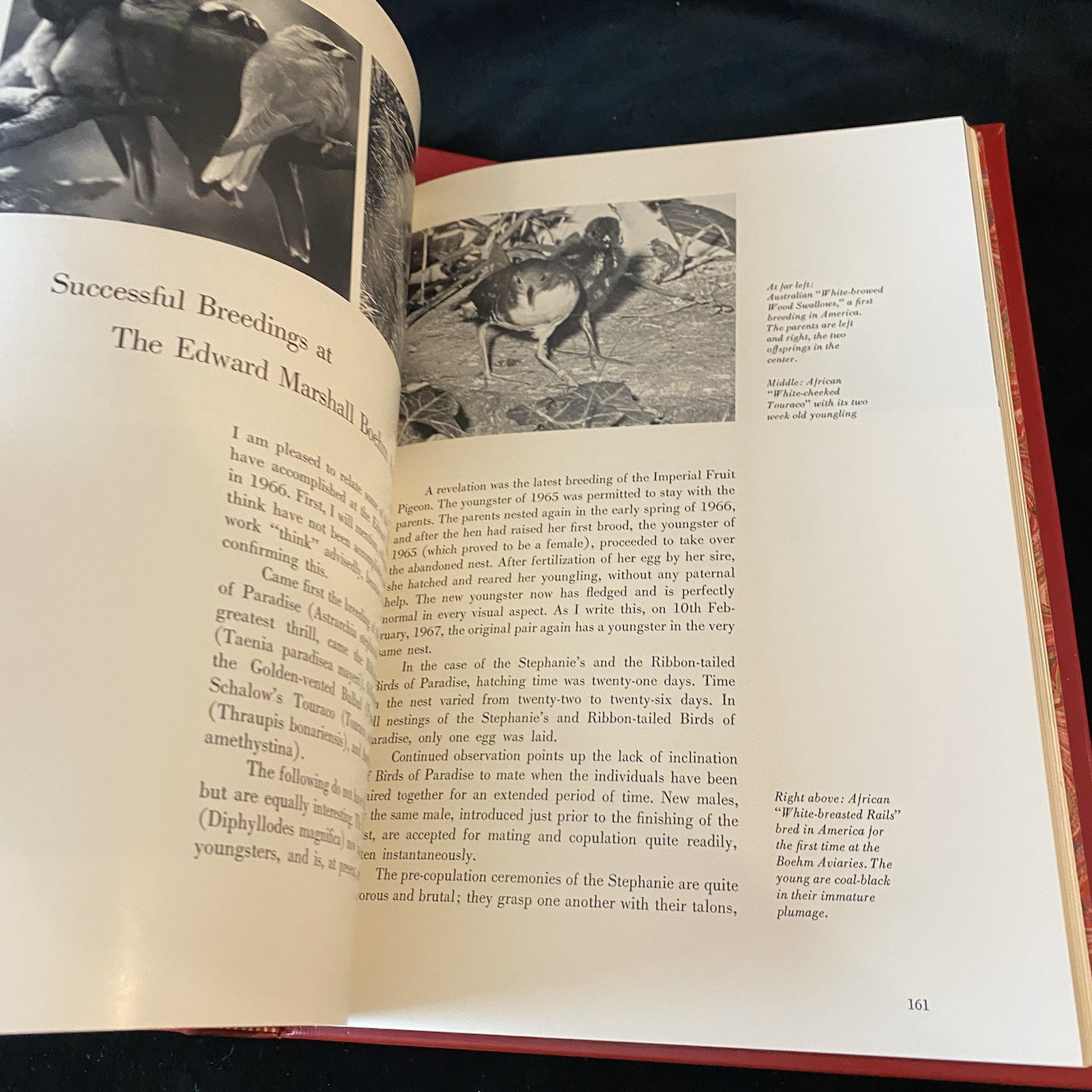 Signed Ltd Ed Edward Marshall Boehm 1913-1969 Book Slipcase Missing Medallion
