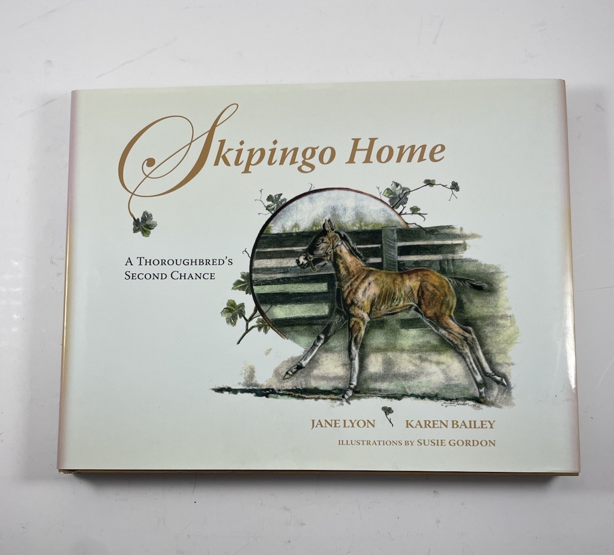 Primerica & Skipingo Home By Jane Lyon & Karen Bailey, Hardcover, 39 Pages Each