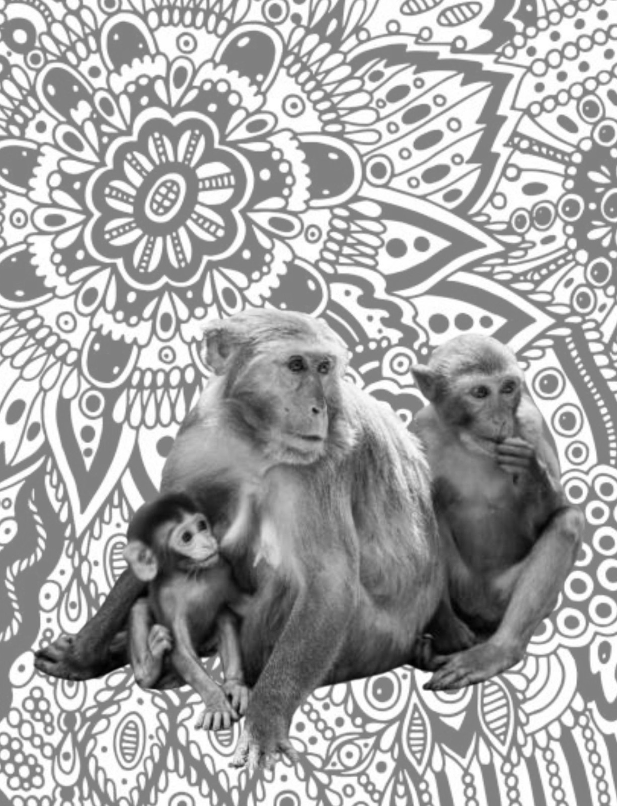 Save the primates Coloring book for Adults Teens 108 Pages 8.5 x 11 for All Ages
