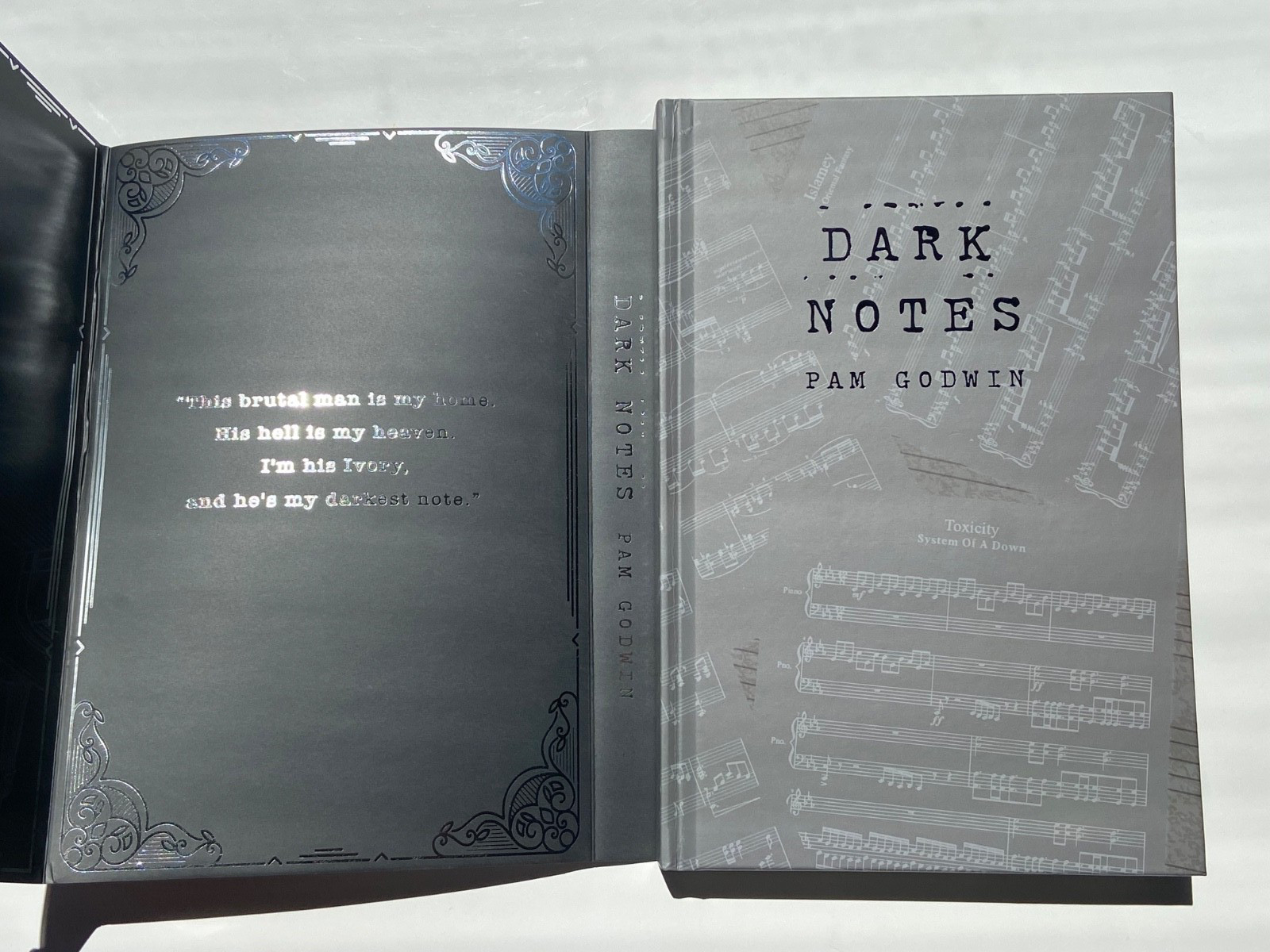 Dark Notes by Pam Godwin Books For Days Crate Edition