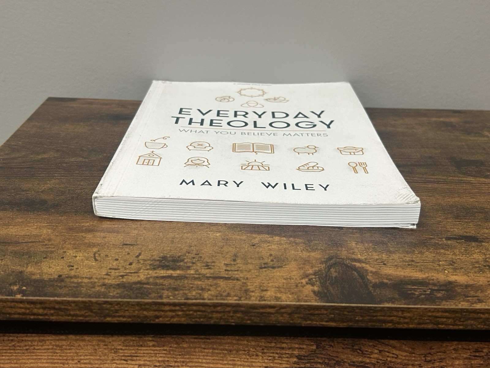 Everyday Theology – Bible Study Book : What You Believe Matters by Mary Wiley…