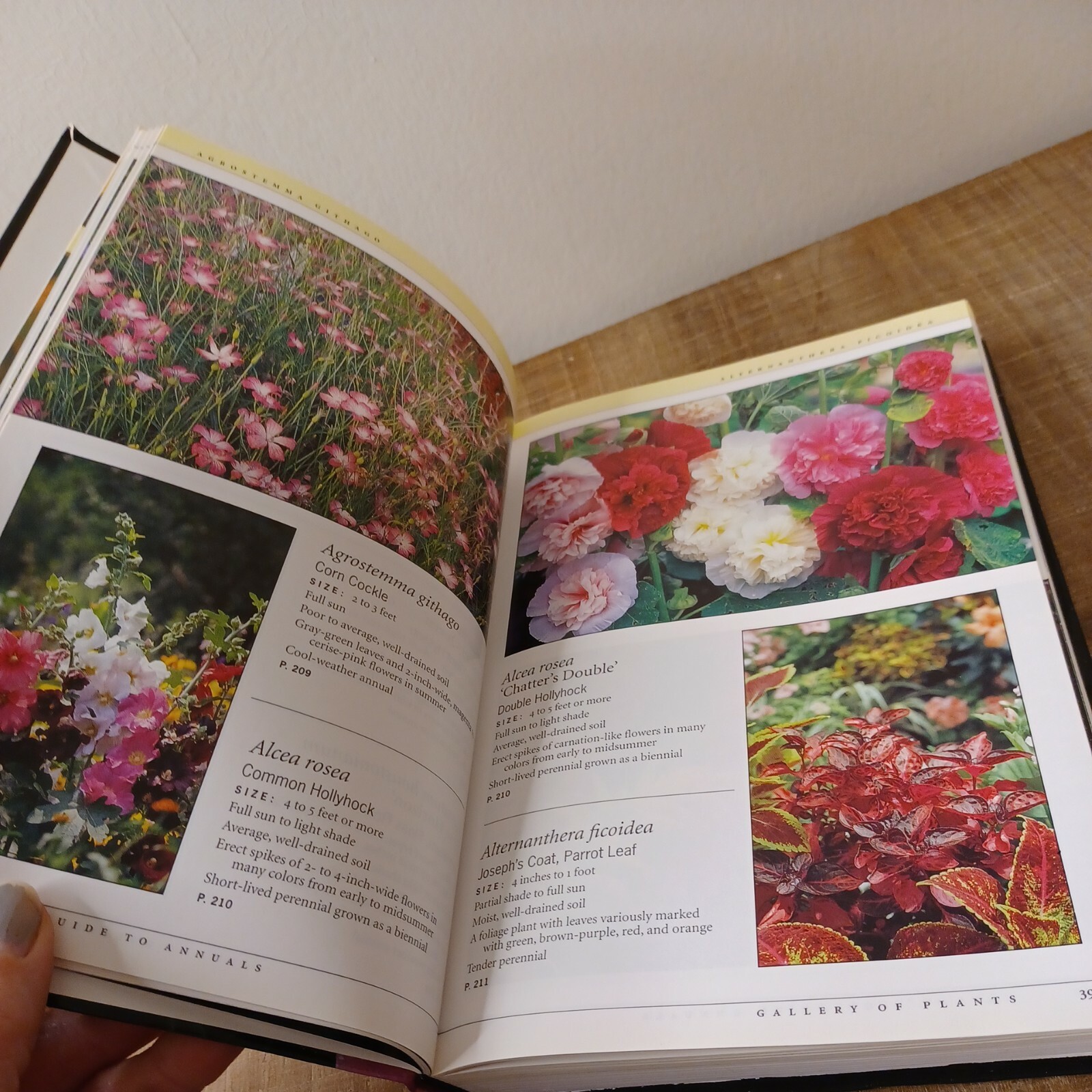 Taylor’s Guides: Taylor’s Guide to Annuals : How to Select and Grow More Than 4…