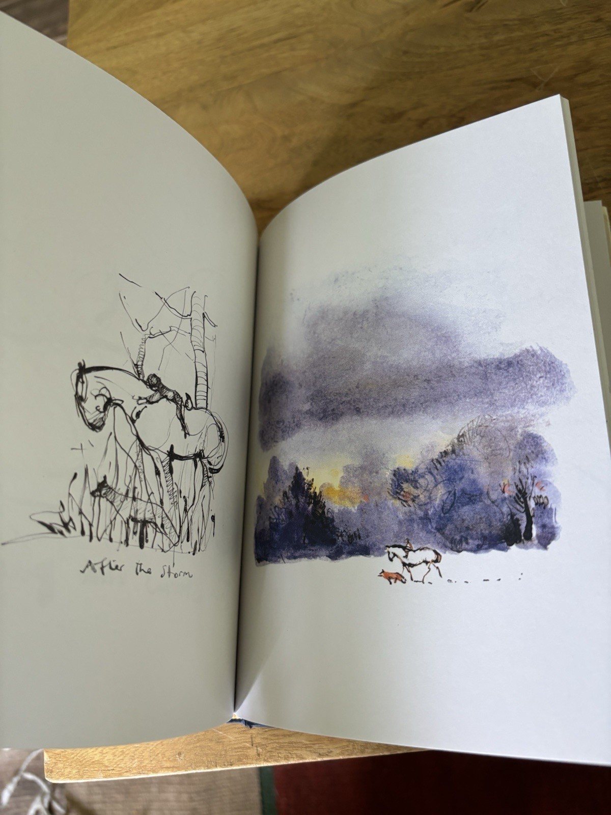 HarperOne The Boy, the Mole, the Fox and the Horse by Charlie Mackesy (Hardcove…