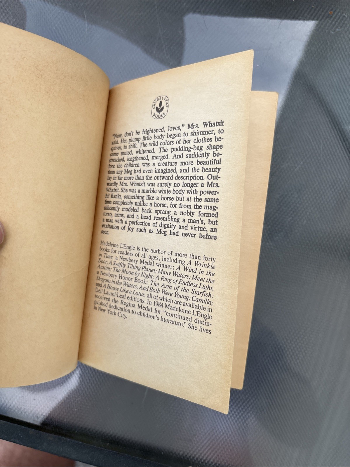 A Wrinkle in Time by Madeleine L’Engle 1976 vintage paperback Stranger Things